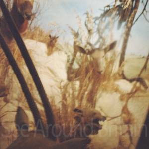 Photograph taken before 2009