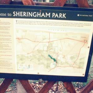 “taken before 2009”