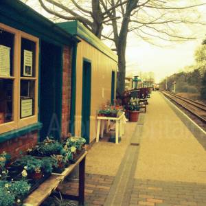 “taken before 2009”