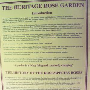 Photograph taken before 2009