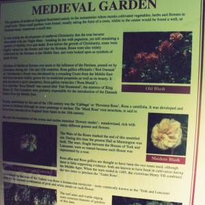 Photograph taken before 2009