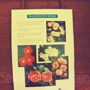 Photograph taken before 2009