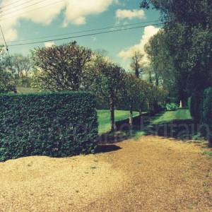 Photograph taken before 2009