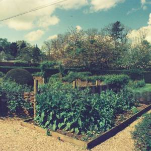 Photograph taken before 2009