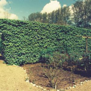 Photograph taken before 2009