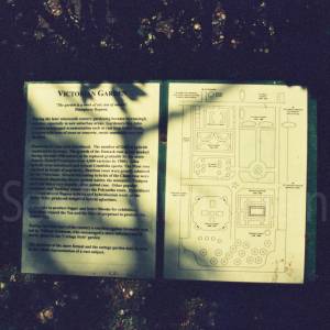 Photograph taken before 2009