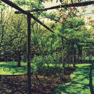 Photograph taken before 2009