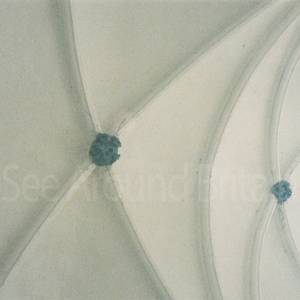 Photograph taken before 2009