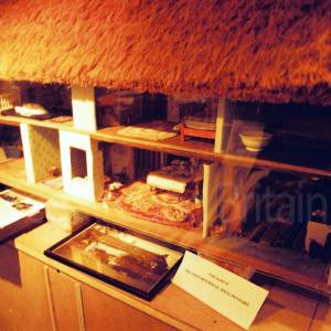 “taken before 2009”