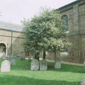 “taken before 2009”