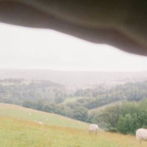 “taken before 2009”