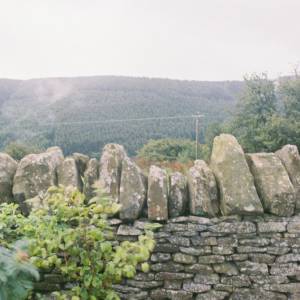 “taken before 2009”