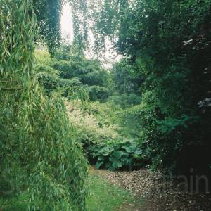 “taken before 2009”