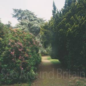 “taken before 2009”