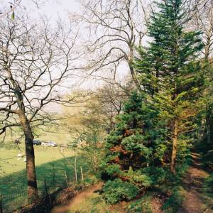 Taken before 2009