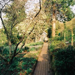 Taken before 2009