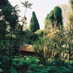 Taken before 2009