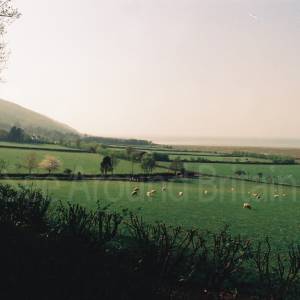 Taken before 2009
