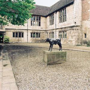 “taken before 2009”