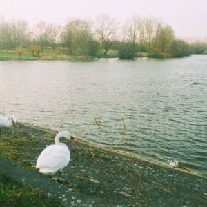 “taken before 2009”