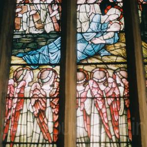 “taken before 2009”