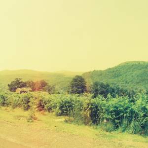 “taken before 2009”