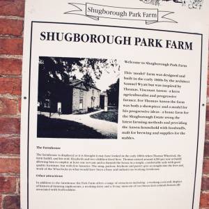 “taken before 2009”