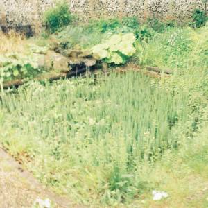 “taken before 2009”