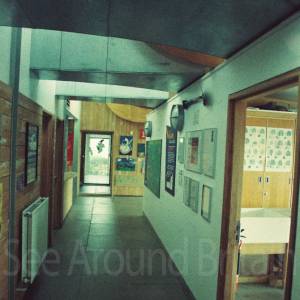 “taken before 2009”