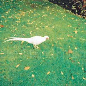 “taken before 2009”