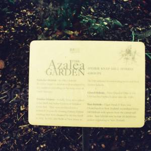 “taken before 2009”