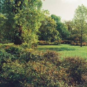 “taken before 2009”