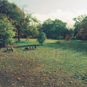 “taken before 2009”