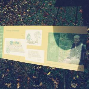 “taken before 2009”