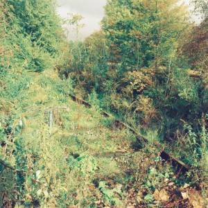 “taken before 2009”