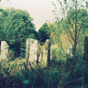 “taken before 2009”