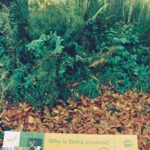 “taken before 2009”