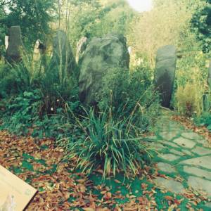 “taken before 2009”