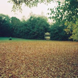 “taken before 2009”