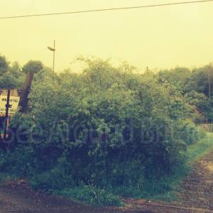 “taken before 2009”