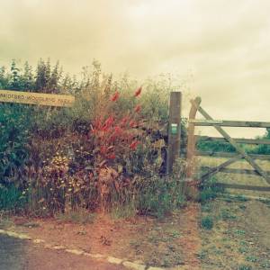 “taken before 2009”