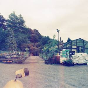 “taken before 2009”