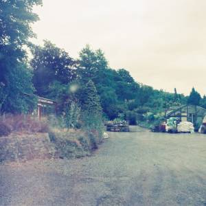 “taken before 2009”