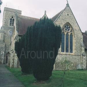 “taken before 2009”