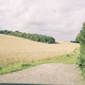 “taken before 2009”