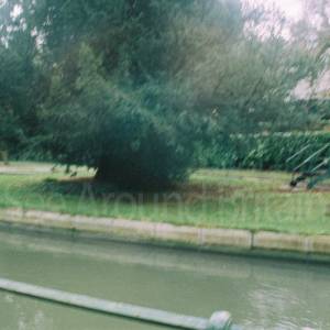 “taken before 2009”