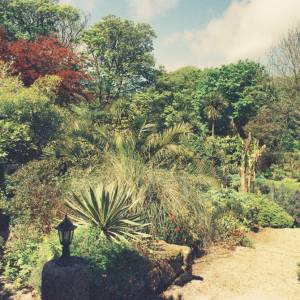 “taken before 2009”