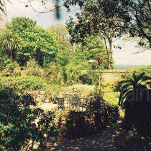 “taken before 2009”