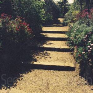 “taken before 2009”