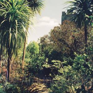 “taken before 2009”